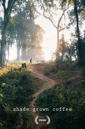 Shade Grown Coffee