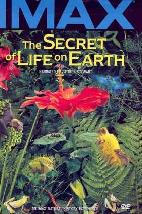 The Secret of Life on Earth