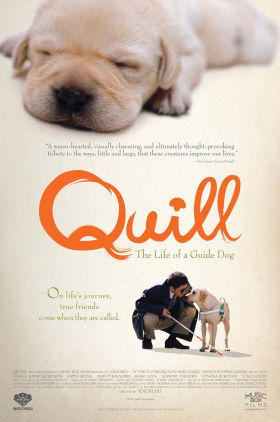 Quill: The Life of a Guide Dog