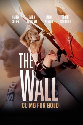 The Wall - Climb for Gold