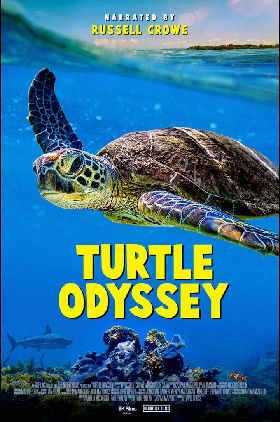 Turtle Odyssey