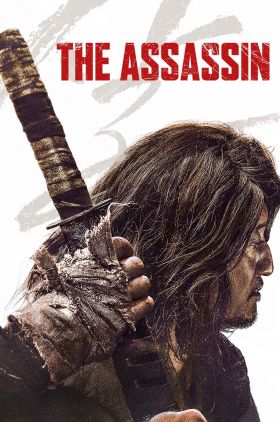 The Assassin: Salsu