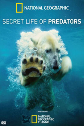 Secret Life of Predators