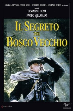 Il segreto del bosco vecchio