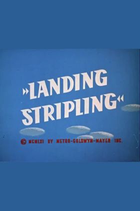 Landing Stripling