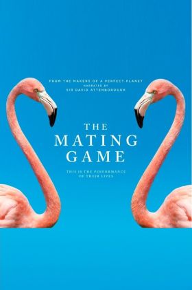 The Mating Game