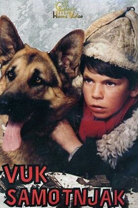 Vuk samotnjak