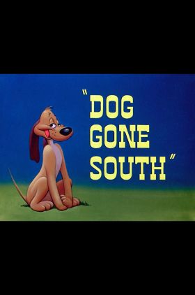 Dog Gone South