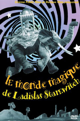 Fleur de fougère