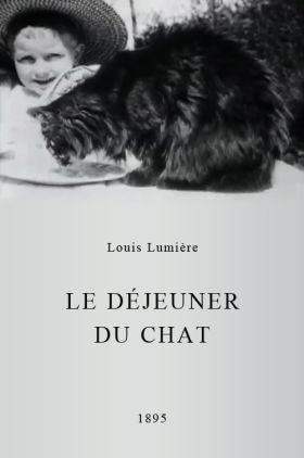 Le déjeuner du chat