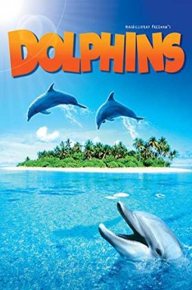 Dolphins