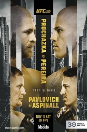 UFC 295: Prochazka vs. Pereira