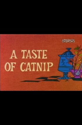 A Taste of Catnip