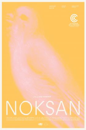 Absent (Noksan)