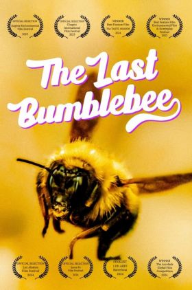 The Last Bumblebee