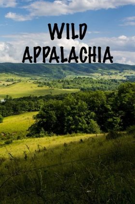 Wild Appalachia