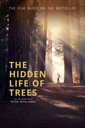 The Hidden Life of Trees (Das geheime Leben der Bäume)