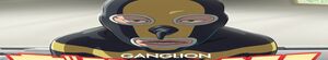 Ganglion