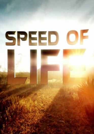 Speed of Life