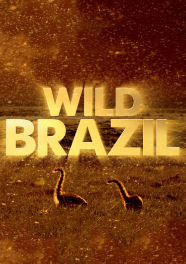 Wild Brazil