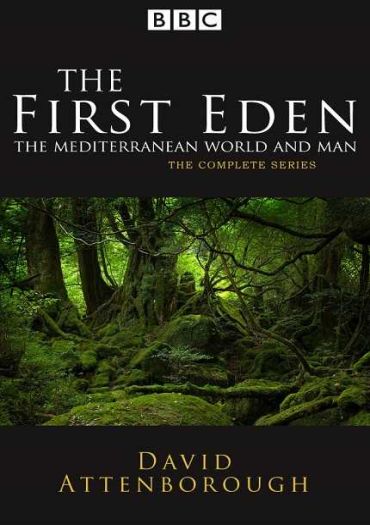 The First Eden