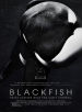 Blackfish