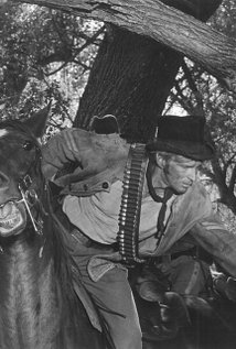 برنده 1 جایزه.